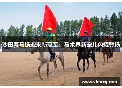 沙田赛马场迎来新冠军：马术界新宠儿闪耀登场